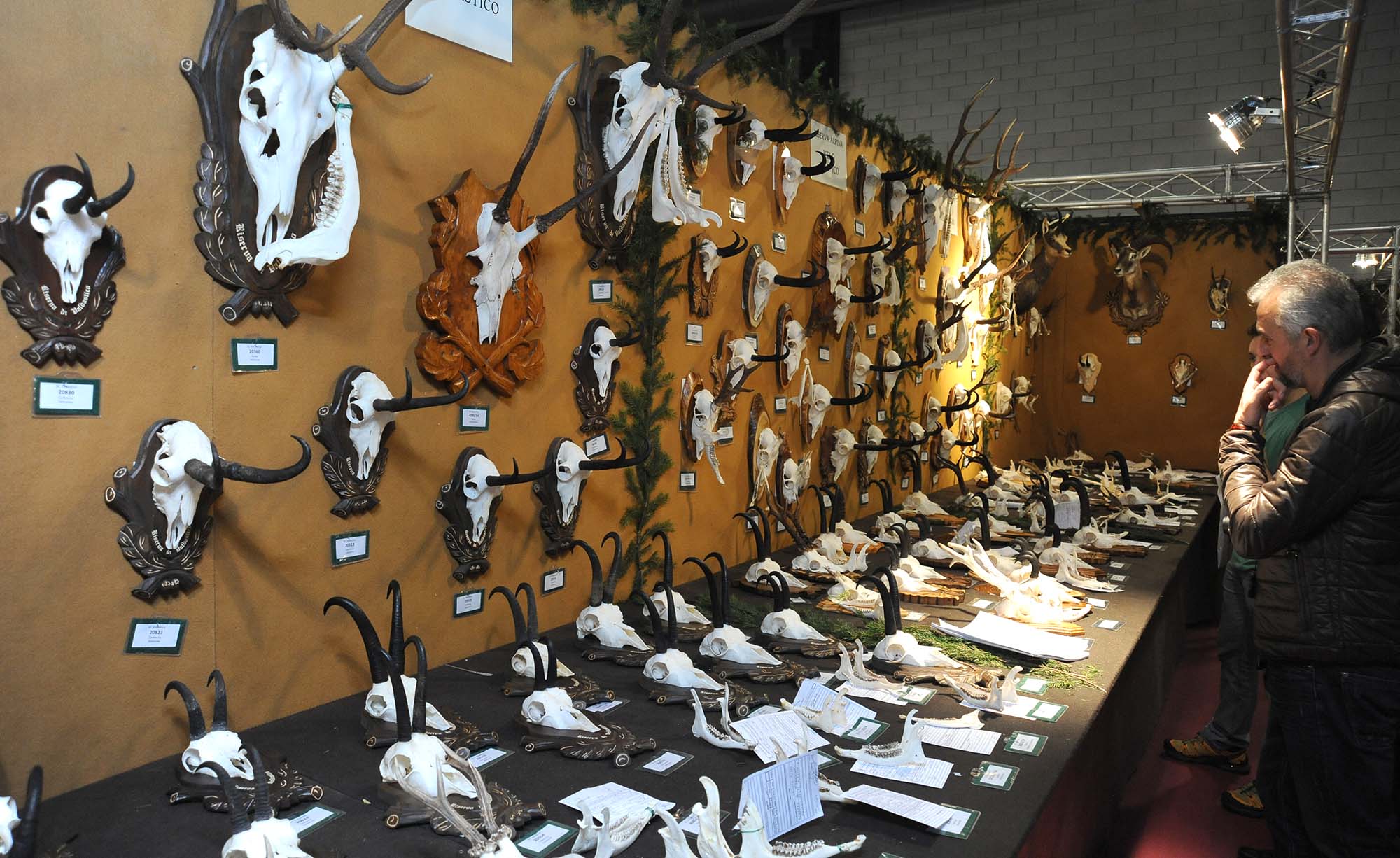 eventi: Expo Riva 2017: caccia e pesca