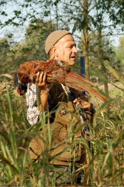 Caccia al fagiano Caccia al fagiano