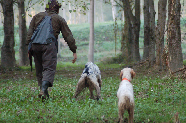 caccia: Incidenti di caccia: ecco i dati reali