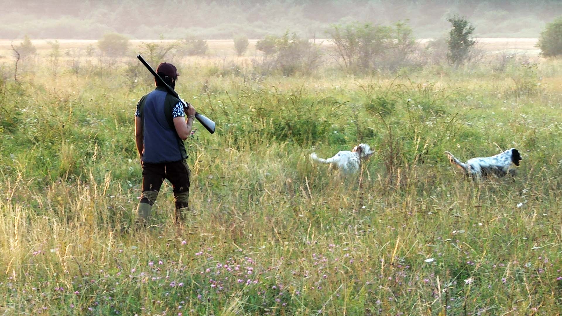 cultura-venatoria: Federcaccia apre la strada all’unione delle associazioni
