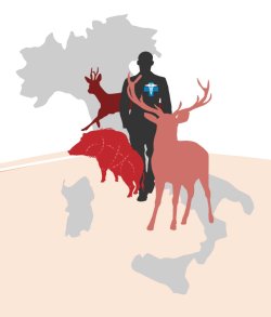 Presentazione standard di PowerPoint Presentazione standard di PowerPoint