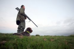 Furto venatorio: che cosa significa?Che cosa si rischia? Cacciatore con cane