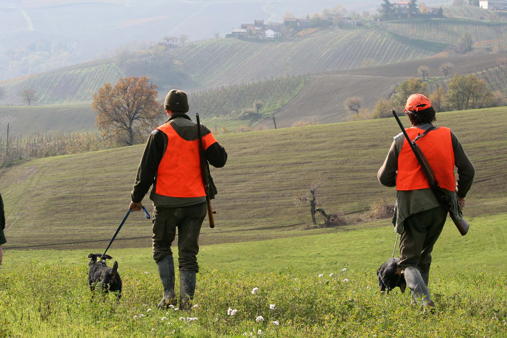 legge: Furto venatorio: che cosa significa?Che cosa si rischia?