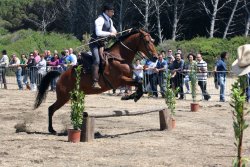 Game Fair Game Fair