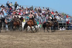 Game Fair Game Fair