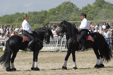 Game Fair 2015 Grosseto Game Fair 2015 Grosseto
