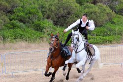 Game Fair Grosseto 2015 Game Fair Grosseto 2015