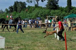 Game Fair 2015 Game Fair 2015