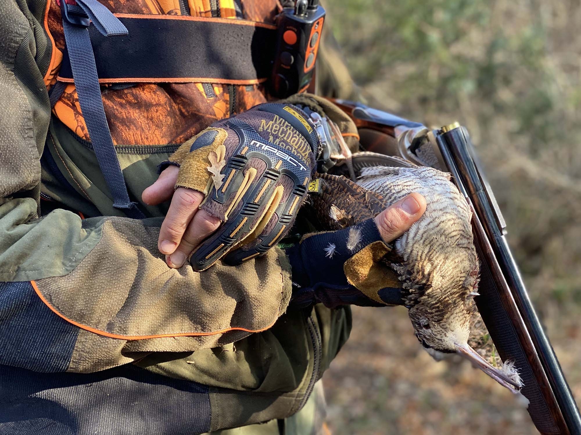 cultura: Fondazione UNA partecipa alla European Game Meat Week di FACE, per valorizzare la carne di selvaggina