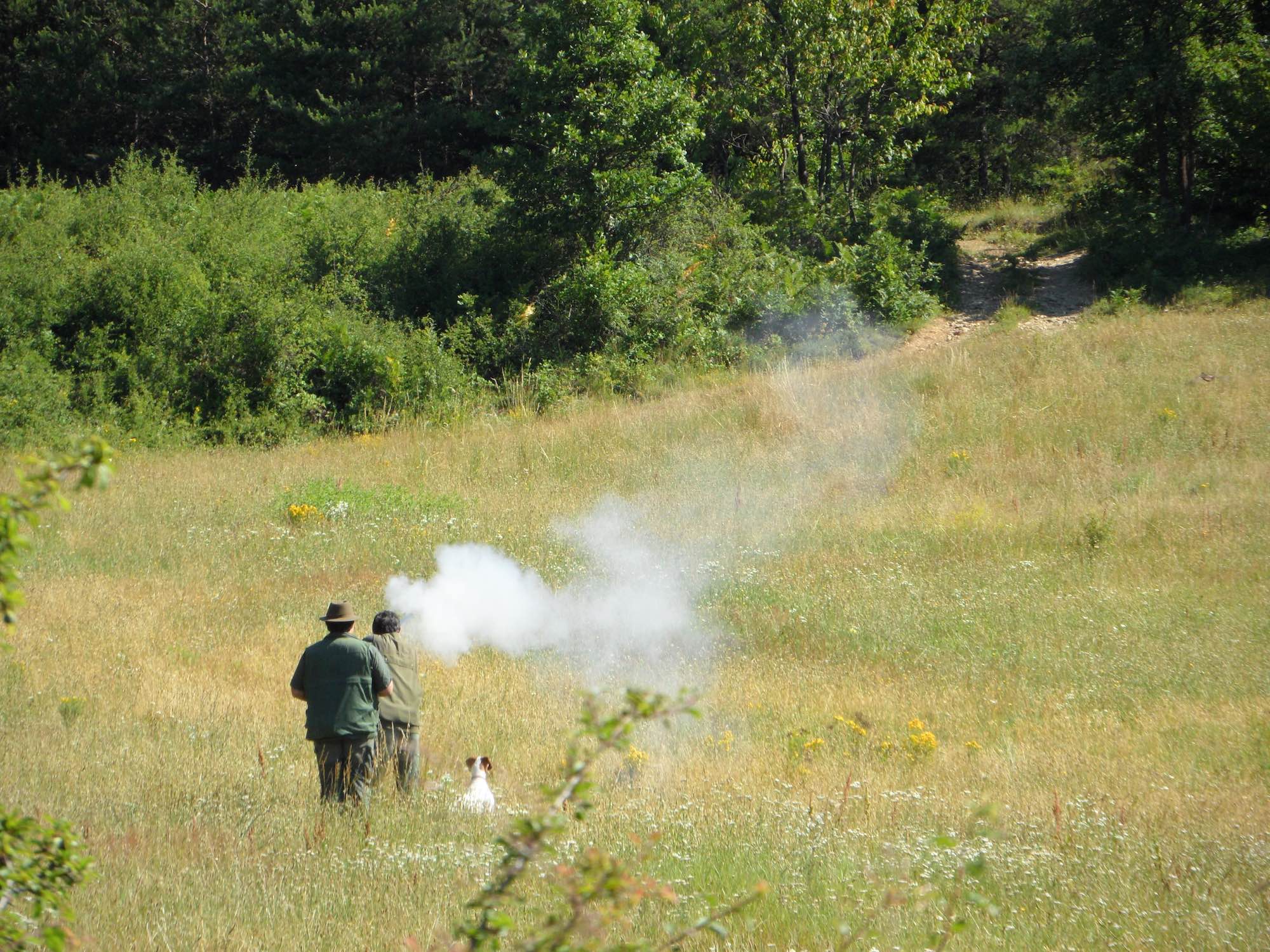 caccia-ad-avancarica: Gara S. Uberto ad avancarica a Bene Vagienna (Cn) caccia-ad-avancarica: Gara S. Uberto ad avancarica a Bene Vagienna (Cn)