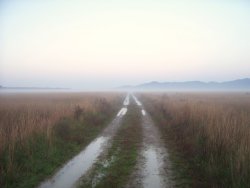 Caccia al beccaccino. Beccaccini che passione All'alba si parte per il padule