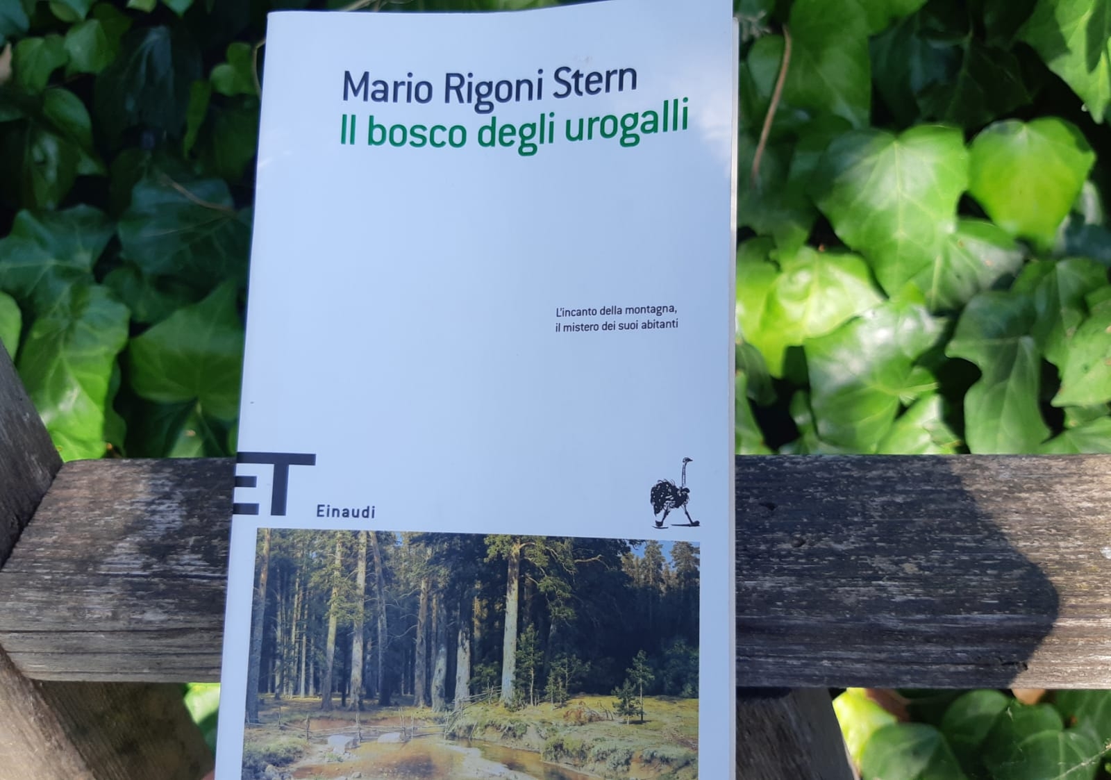 libri-e-pubblicazioni: Il bosco degli Urogalli. Mario Rigoni Stern