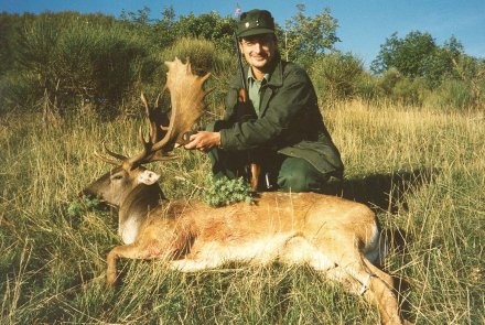 Caccia grossa in Europa: il daino Caccia grossa in Europa: il daino