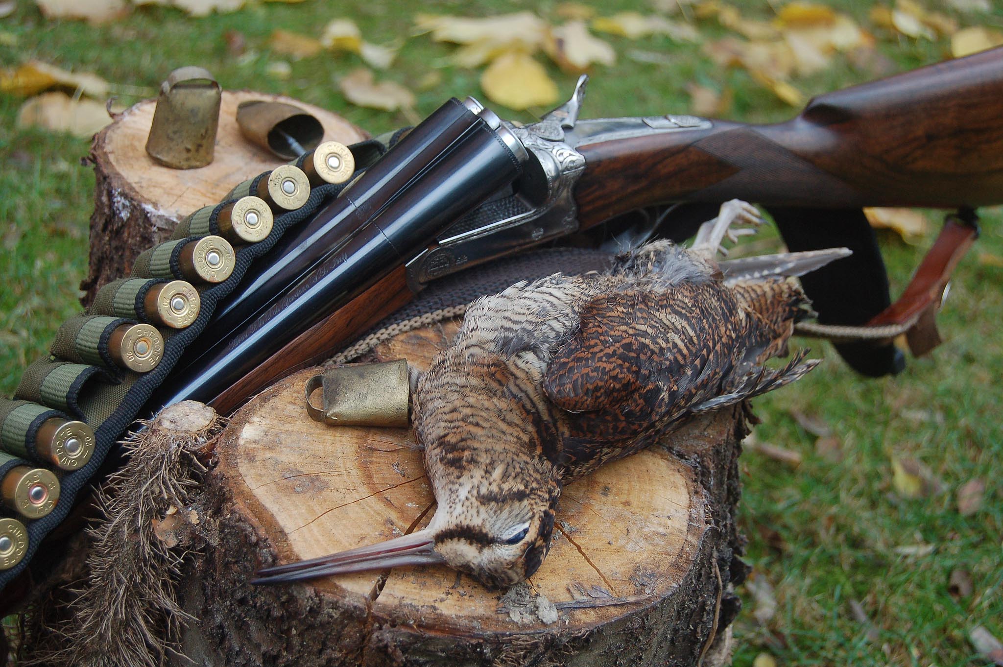 selvaggina-migratoria: Il fucile da beccacce: tradizione e innovazione selvaggina-migratoria: Il fucile da beccacce: tradizione e innovazione