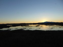 Il padule di Fucecchio Fucecchio al tramonto