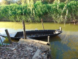 Il padule di Fucecchio lago padule di fucecchio