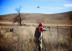 Tiro a caccia Tiro a caccia