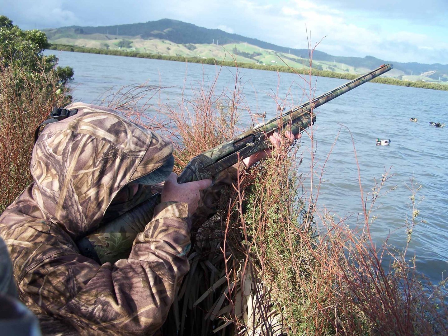 Tiro a caccia Tiro a caccia