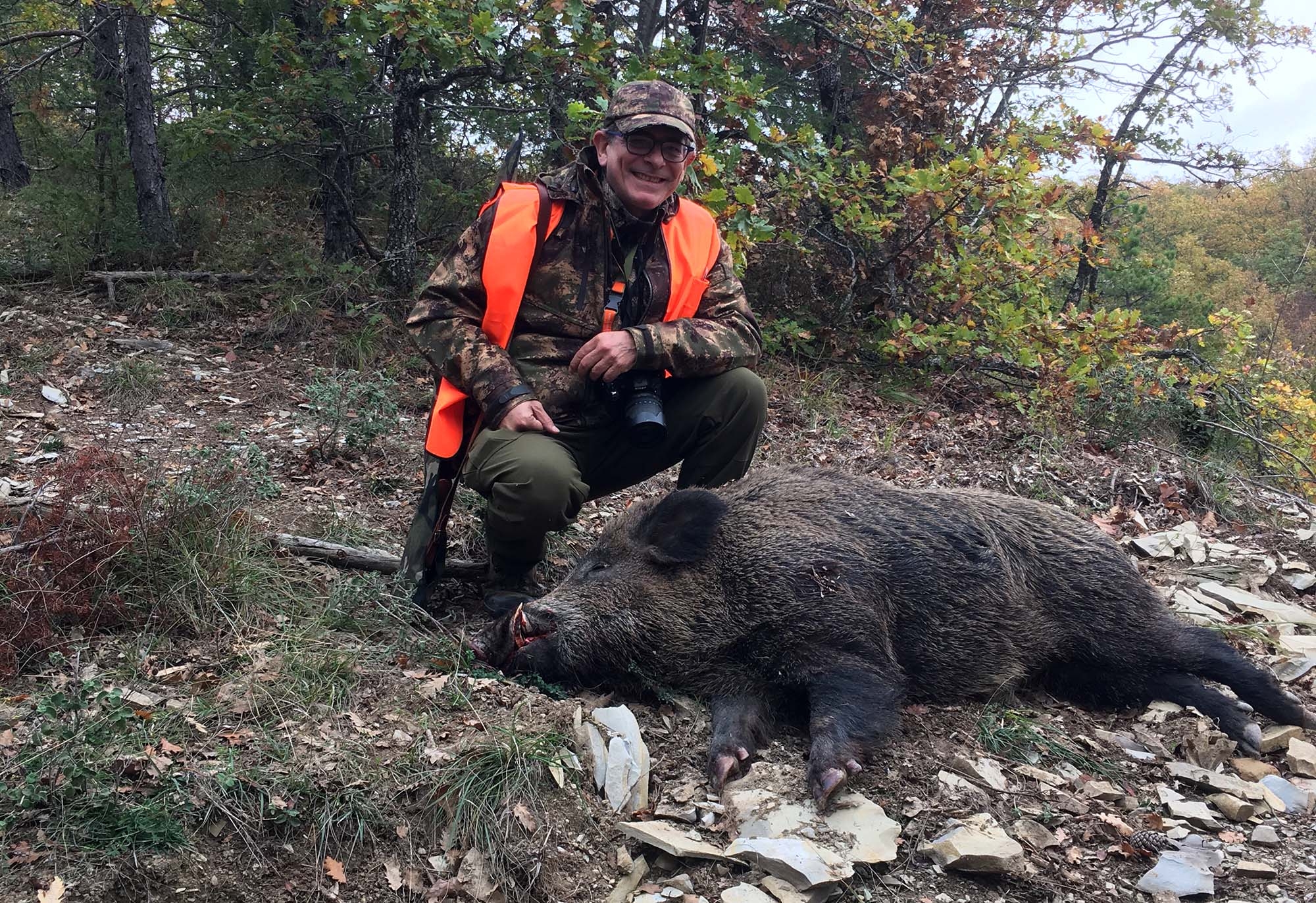 caccia-al-cinghiale: A caccia di cinghiali Il vecchio cinghiale, tra mito e realtà