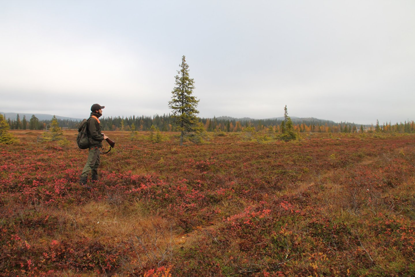 Caccia in Lapponia con Lugaresi Tour Operator Cacciatore in Lapponia