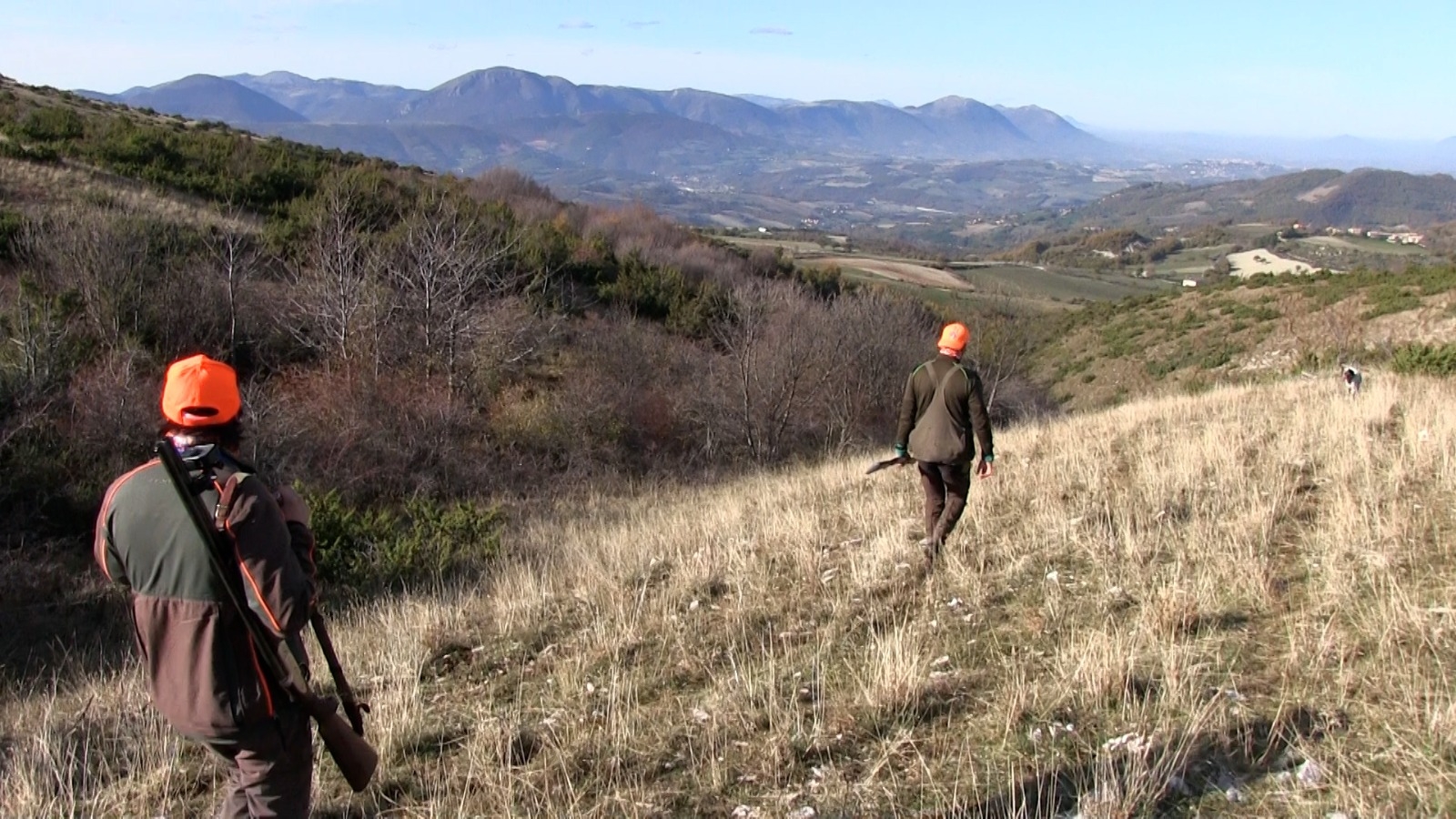 caccia: Incidenti di caccia e strumentalizzazioni mediatiche: arrivano i numeri reali