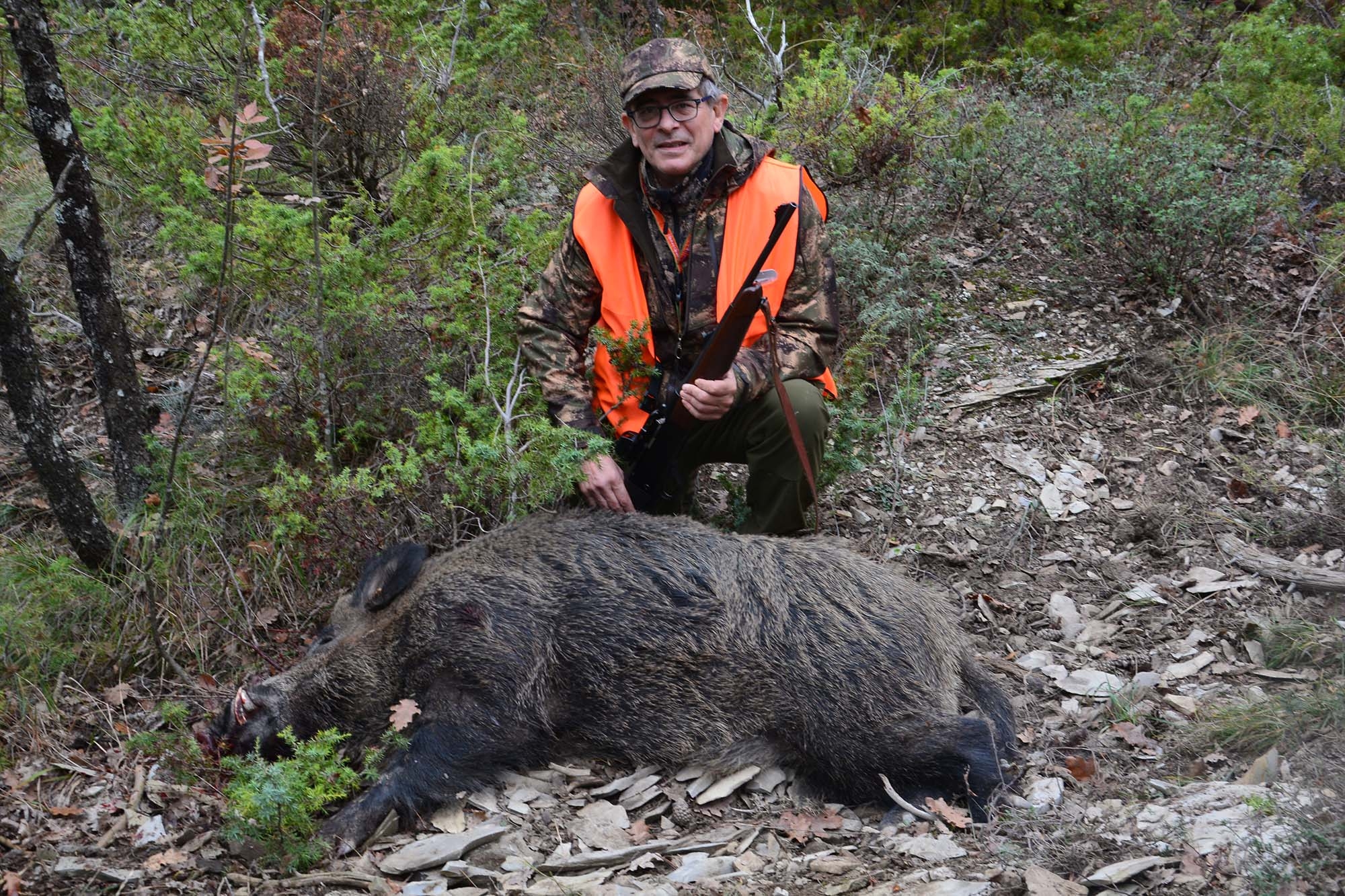 caccia-al-cinghiale: La caccia al cinghiale: tecniche venatorie, armi, munizioni e accessori con la guida di uno specialista