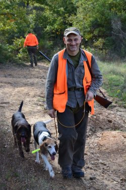 Canaio durante la caccia al cinghiale