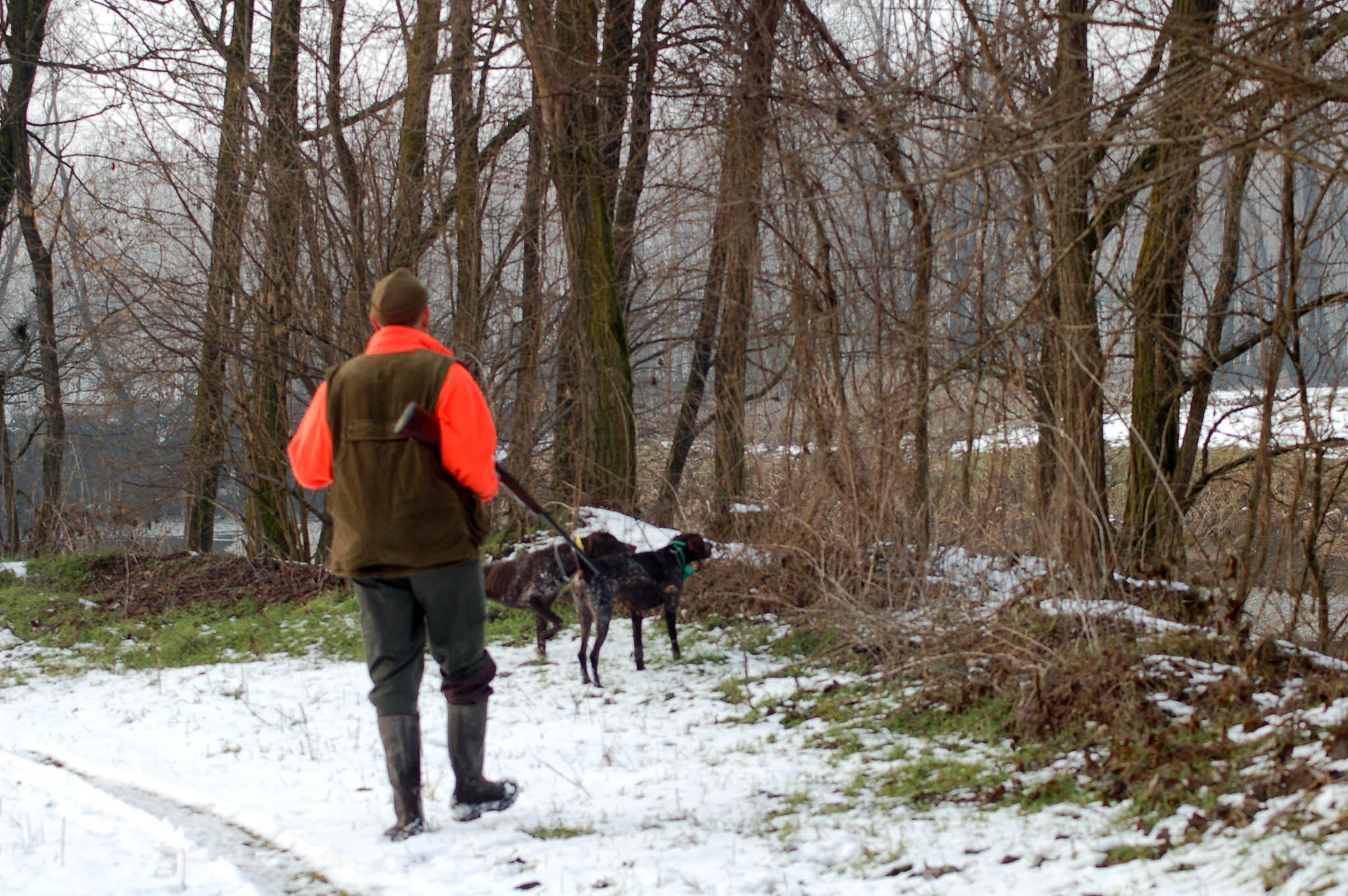tecnica: La caccia nel freddo... bella e difficile