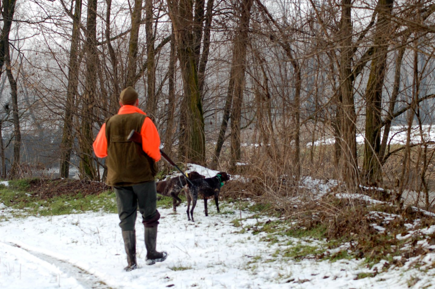 caccia nel freddo caccia nel freddo