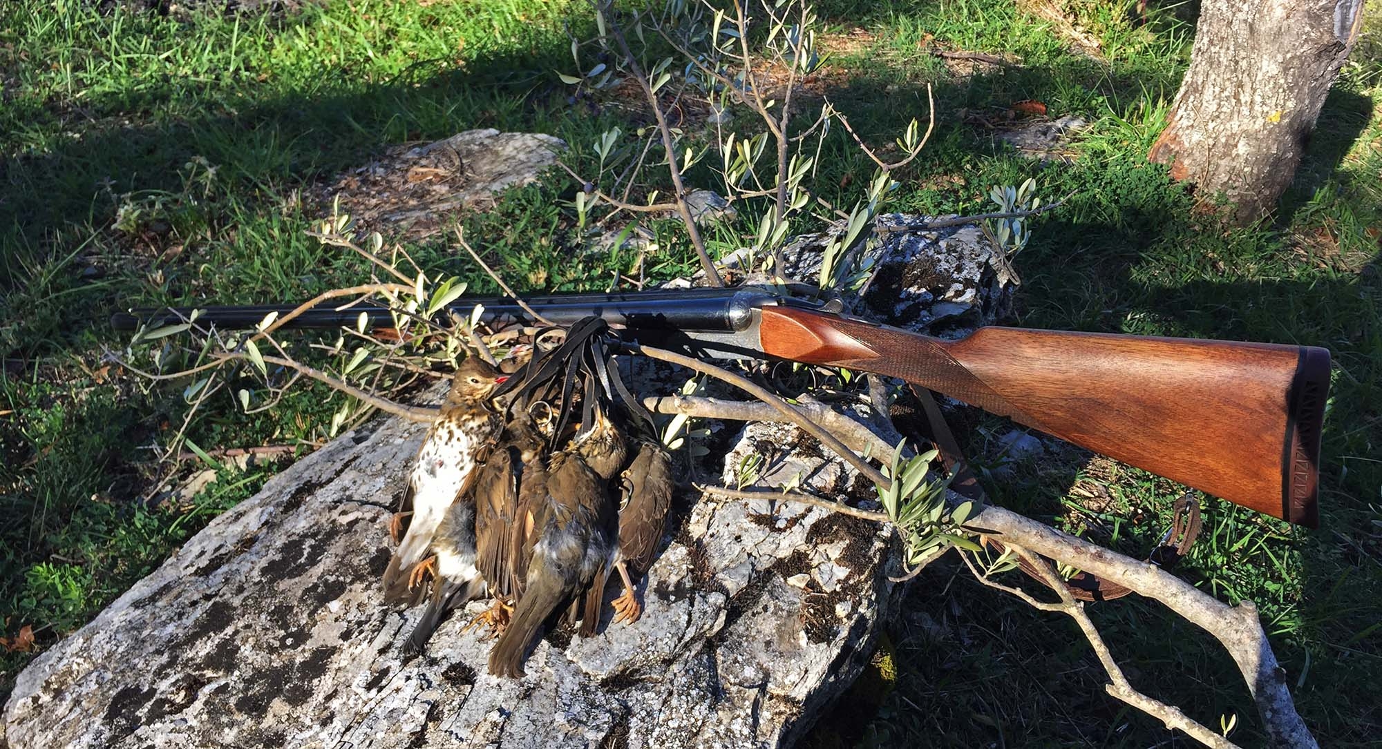 caccia-e-cucina: La cacciagione: un alimento benefico per la salute dell'uomo caccia-e-cucina: La cacciagione: un alimento benefico per la salute dell'uomo