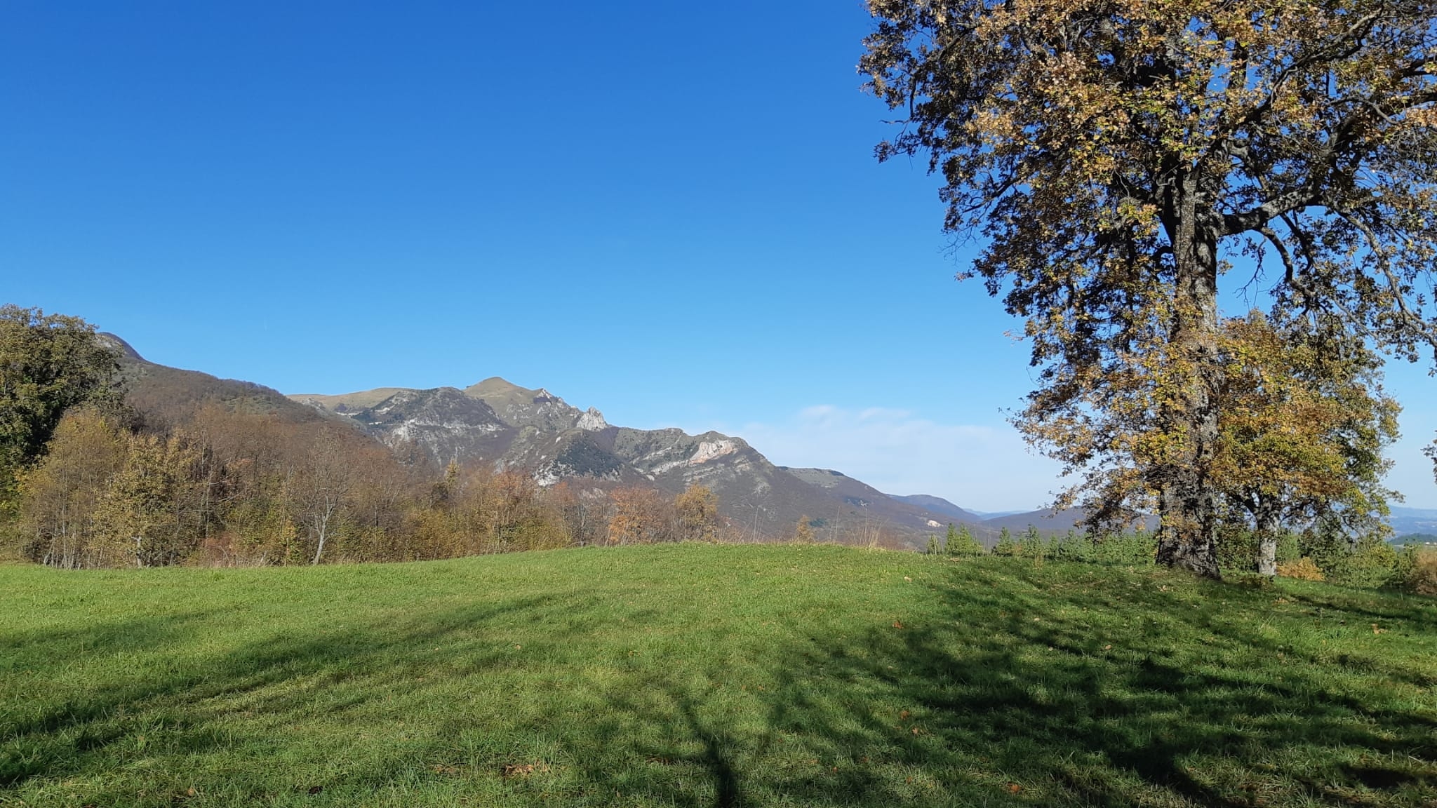 caccia: La corte dei Conti Europea boccia l'attuale PAC. Intervento del parlamentare Dreosto