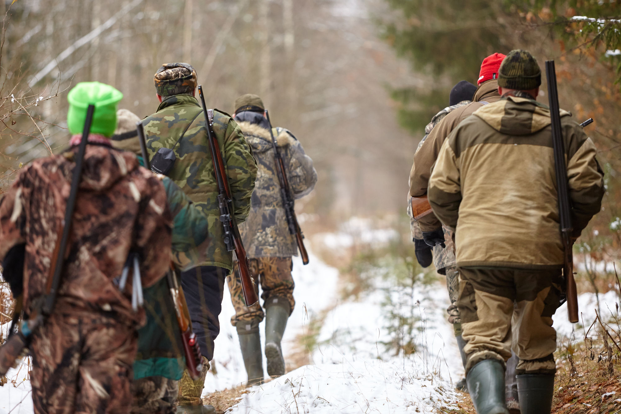 legislazione-venatoria: La norma sugli Atc toscani approda in Consiglio