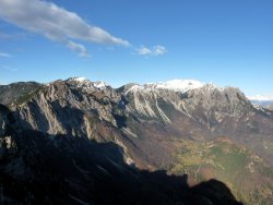 La presenza del camoscio nelle Piccole Dolomiti Piccole Dolomiti