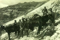 La presenza del camoscio nelle Piccole Dolomiti Soldati italiani