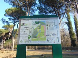 La Tenuta di San Rossore Percorsi all'interno della tenuta