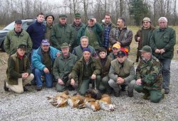Caccia alla volpe in battuta Caccia alla volpe in battuta