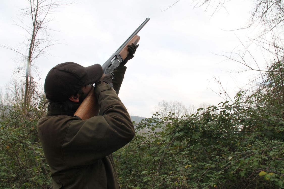 caccia-alle-allodole: Caccia alle allodole