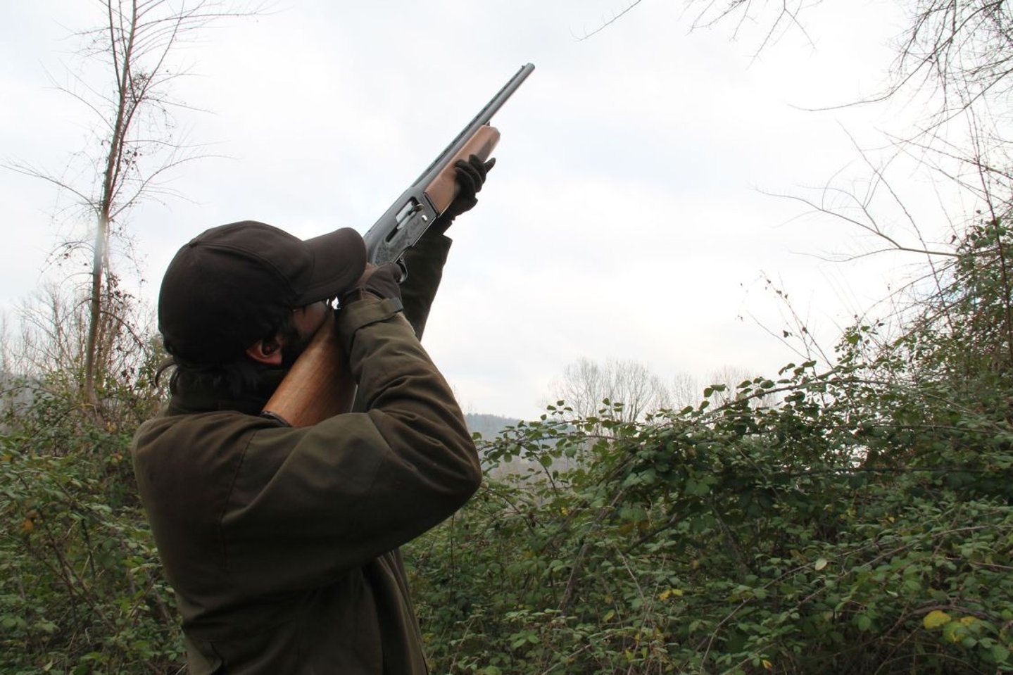 Caccia alle allodole