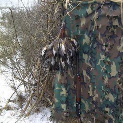 Caccia alle cesene  Caccia alle cesene