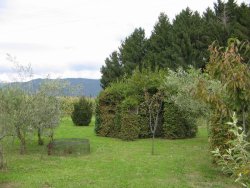 Caccia alle cesene  Caccia alle cesene