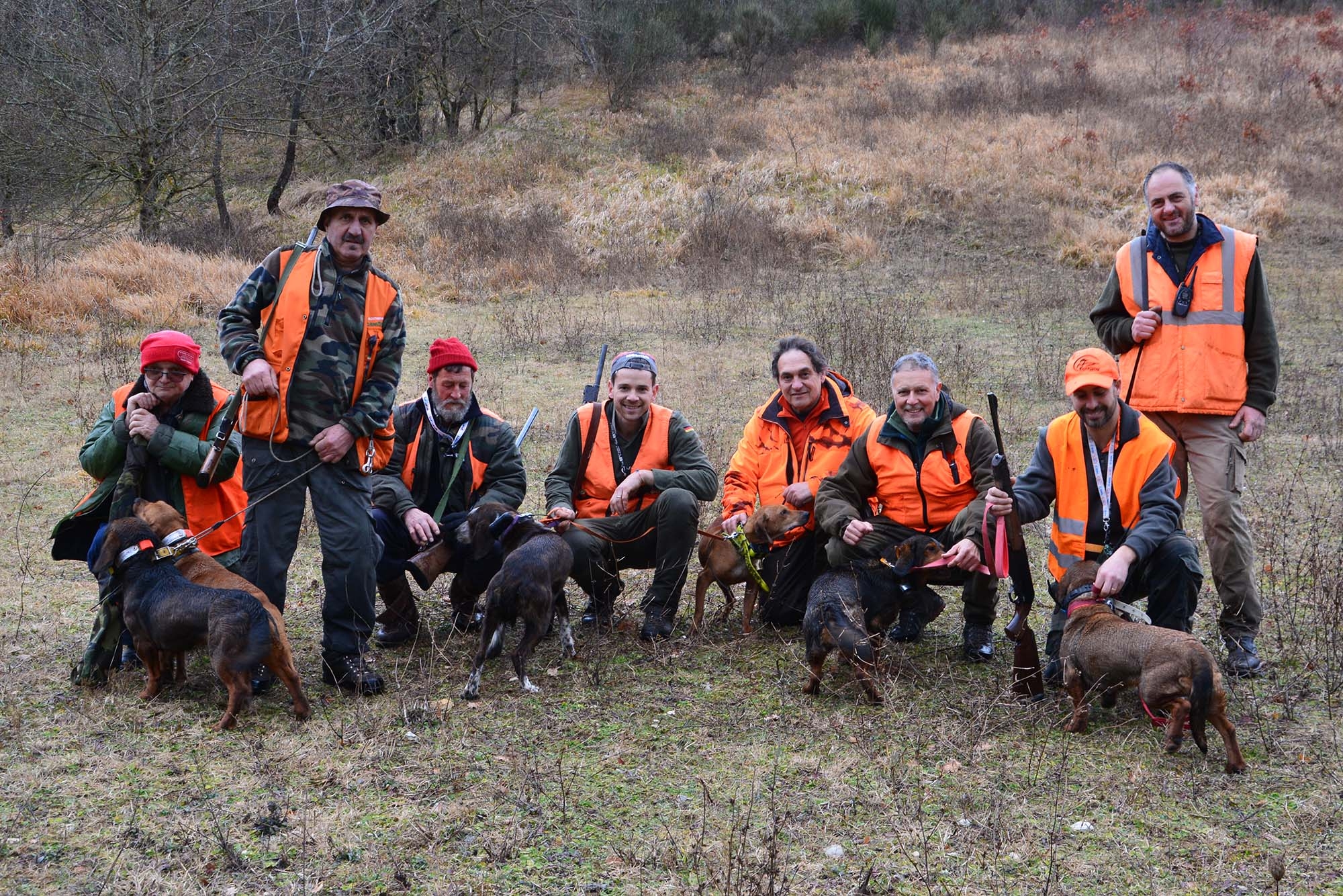 caccia-al-cinghiale: Le reazioni del cinghiale ferito all'impatto del proiettile