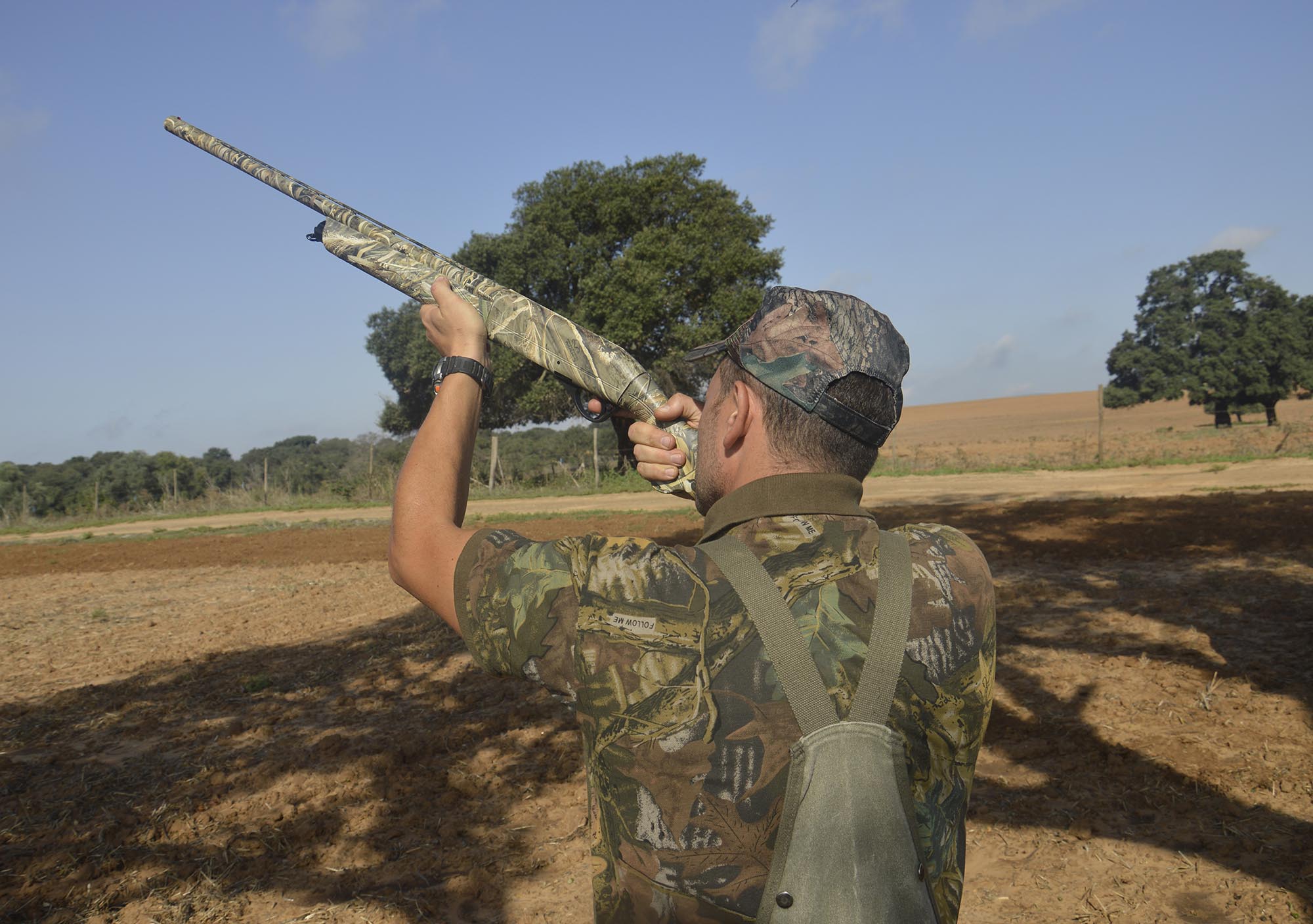 apertura-di-caccia: Caccia alla tortora: il ritorno della passione