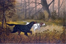 Aprire un allevamento di cani da caccia: adempimenti e consigli Cani da caccia su un dipinto