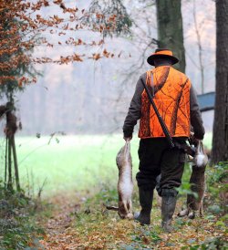 Caccia e gestione della lepre Cacciatore con lepri