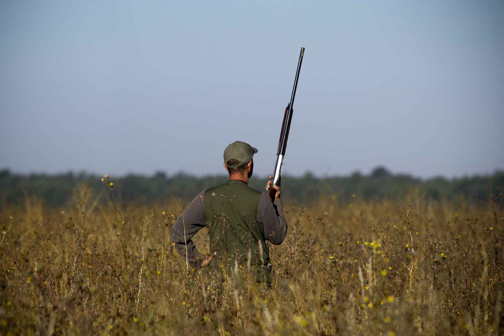 cultura-venatoria: Livelli di piombo nel sangue dei consumatori di selvaggina in Italia