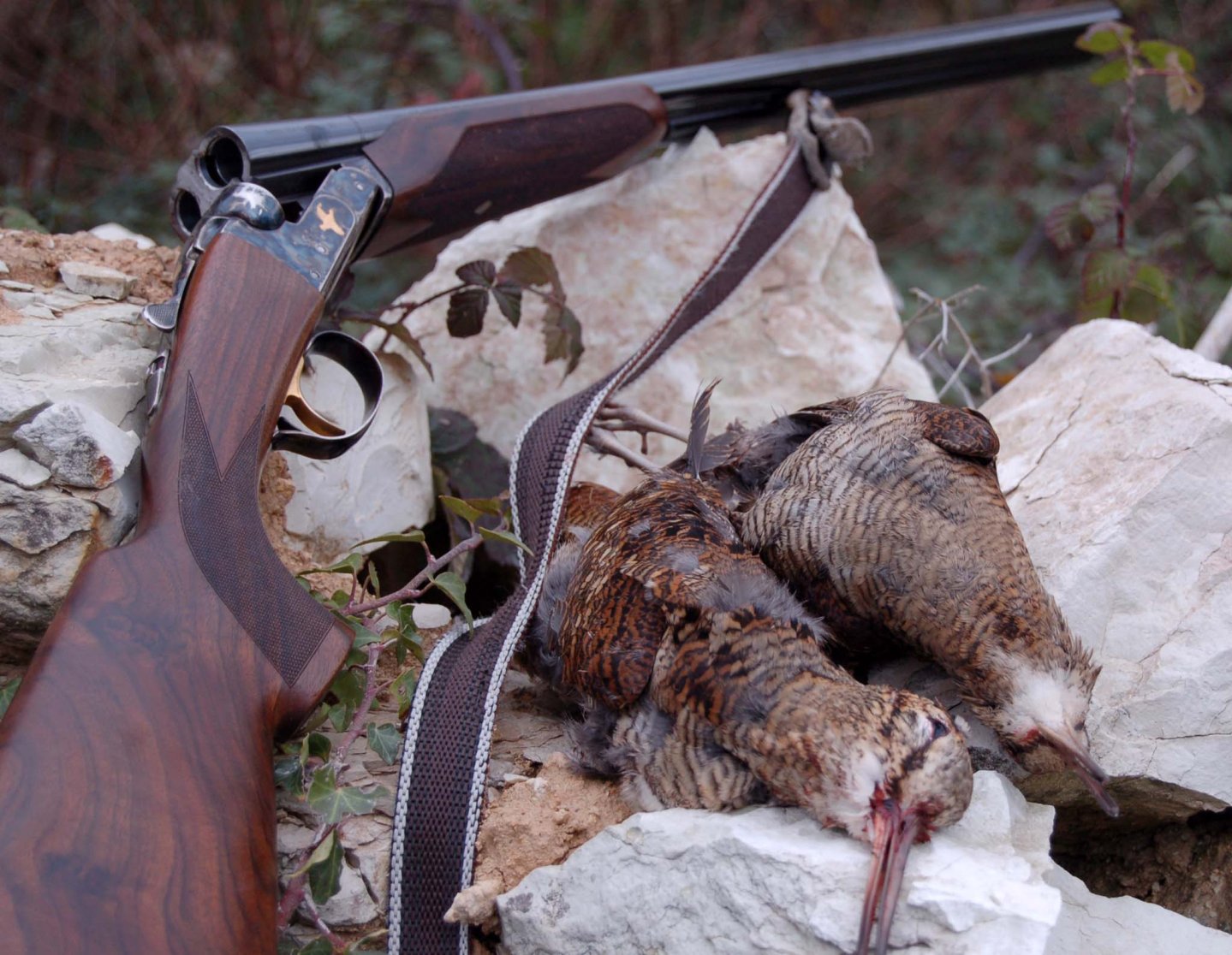 Lugaresi, caccia in Crimea Lugaresi, caccia in Crimea