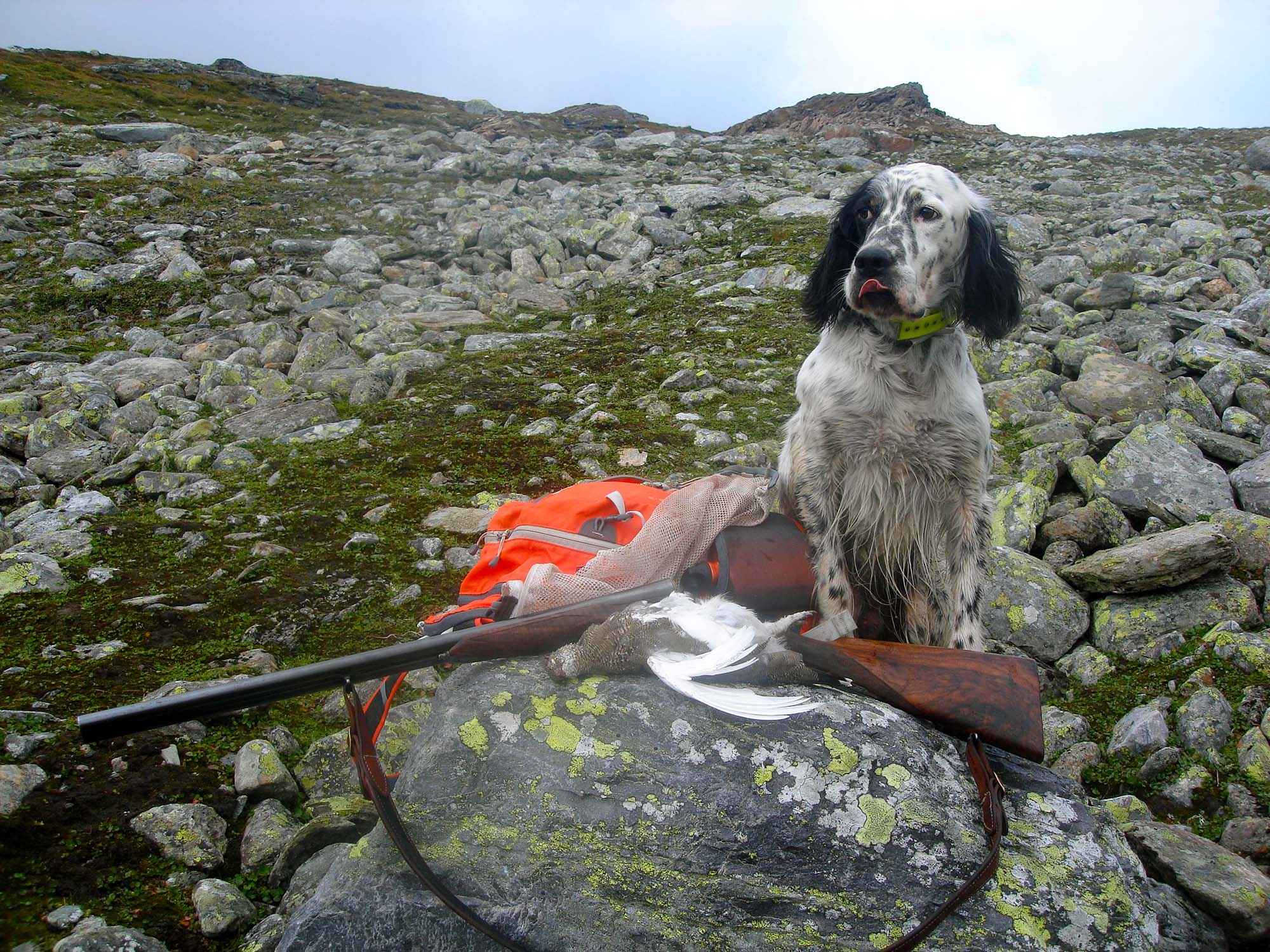 lugaresi: Lugaresi tour operator: le nuove mete lugaresi: Lugaresi tour operator: le nuove mete