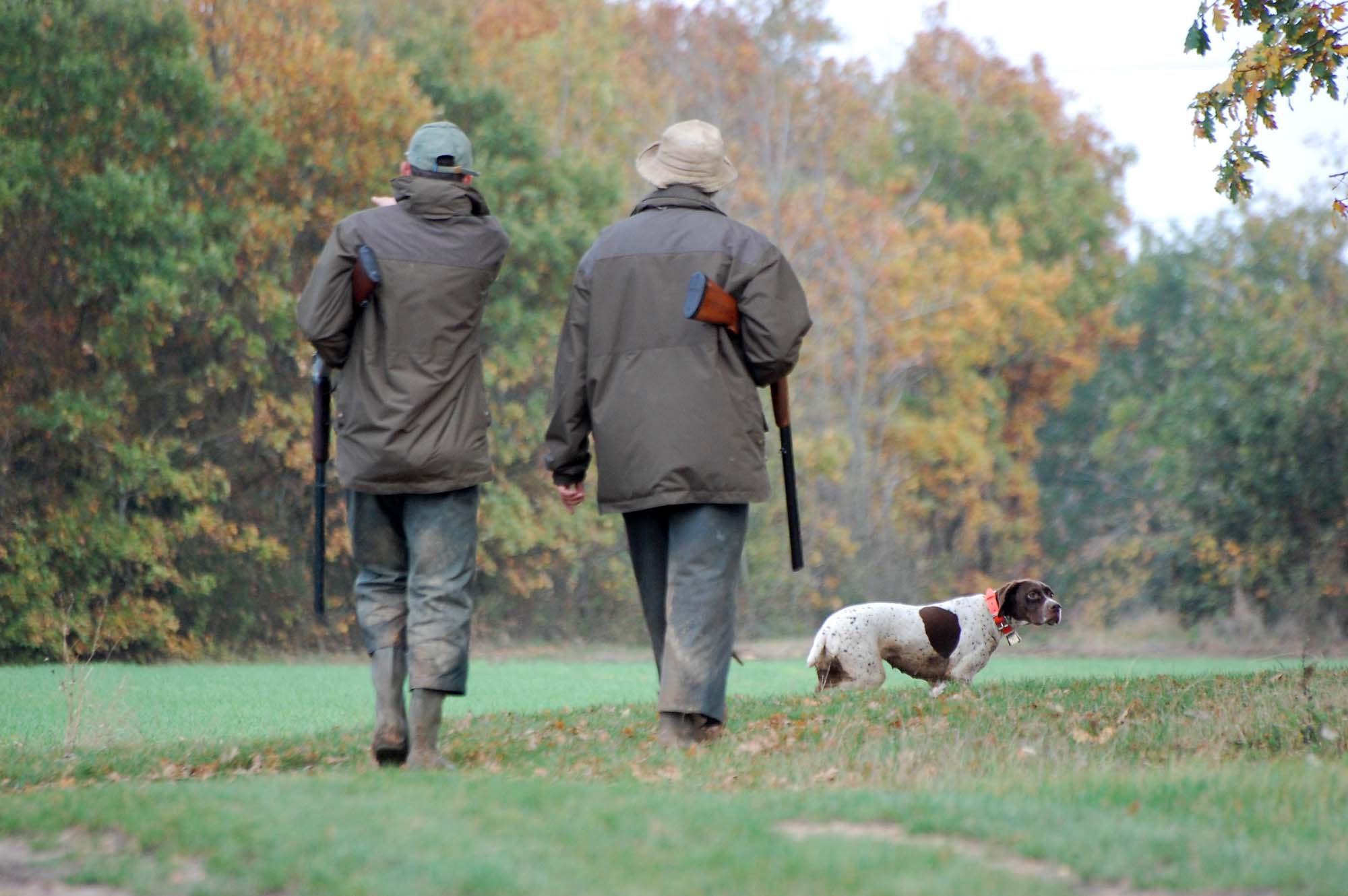 caccia: L’Unità: il fondamentale ruolo della caccia nella nuova cultura ambientale italiana