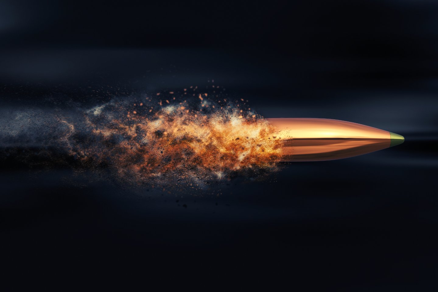 Molise modifica legge su divieto munizioni a palla Archivio Shutterstock / Tatiana Shepeleva