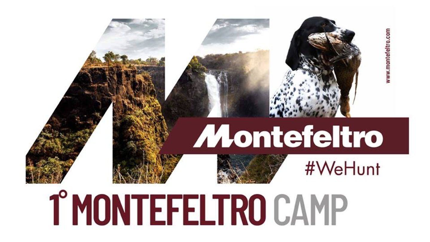 Logo Montefeltro Camp